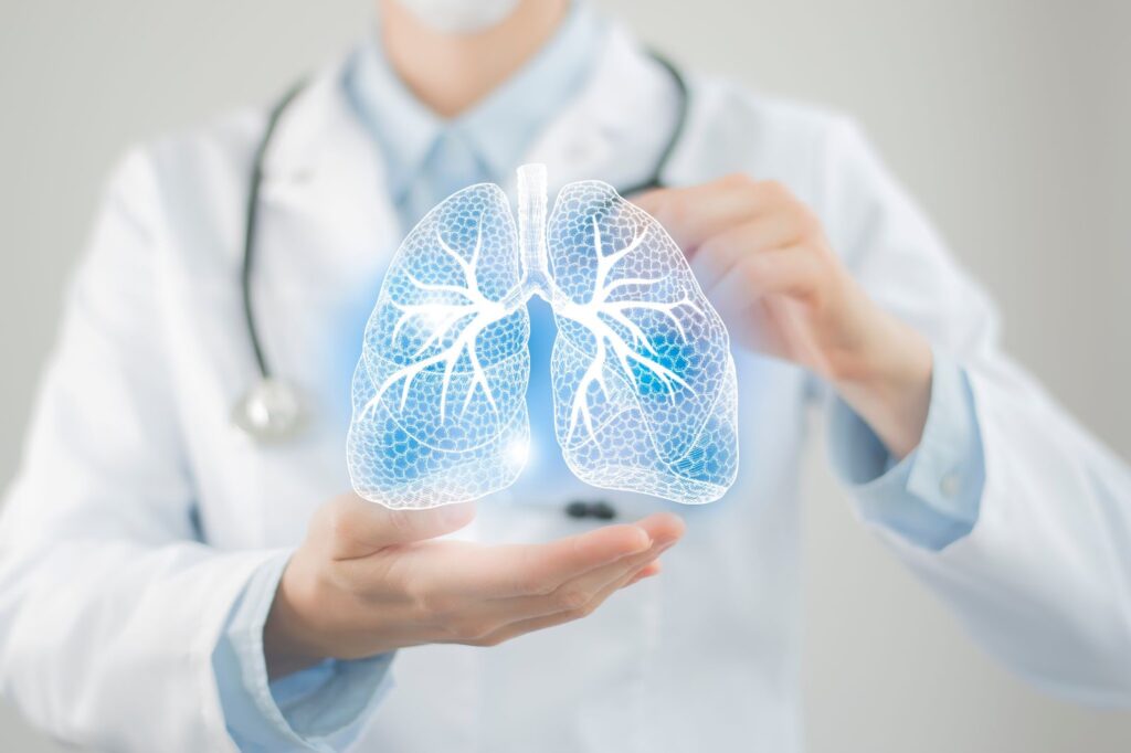 A doctor demonstrates a model of a human lung