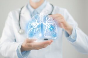 A doctor demonstrates a model of a human lung